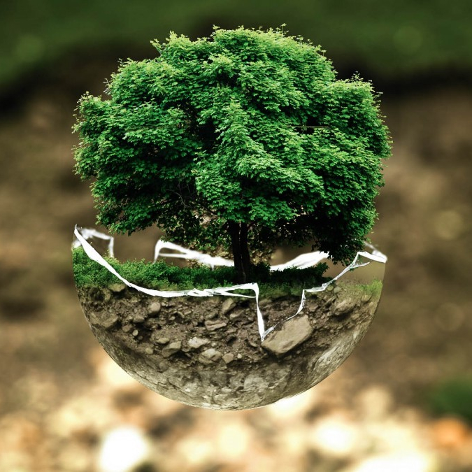 Ecologici