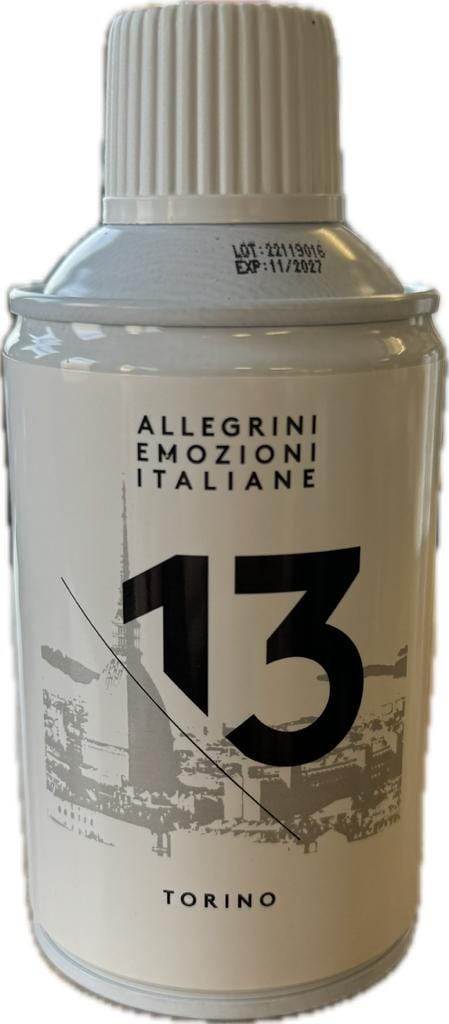 SPRAY TORINO 250 ML