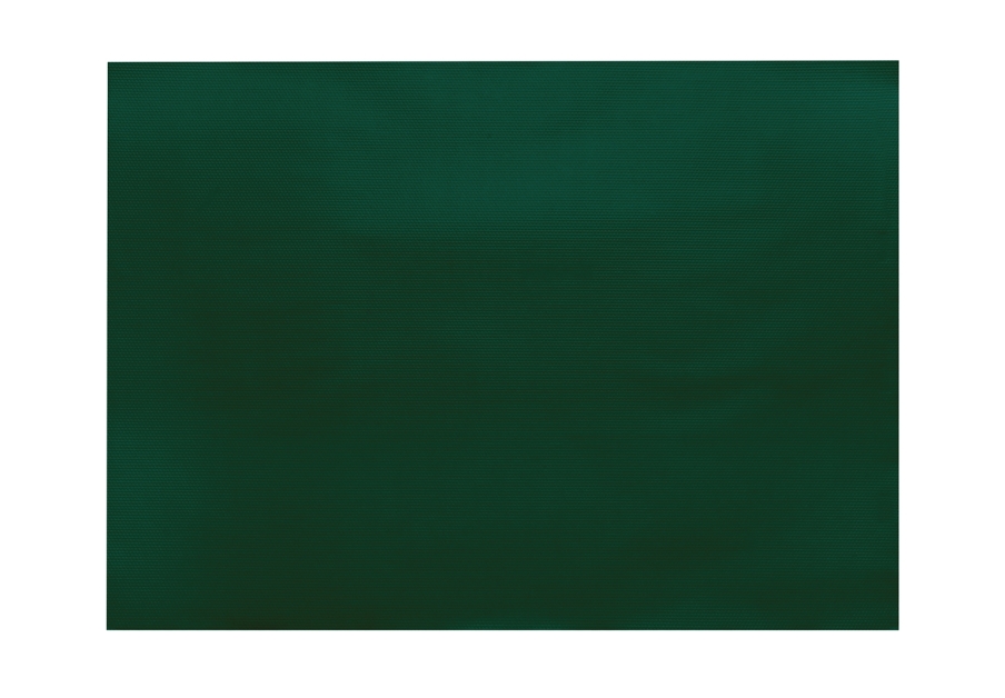 INFIBRA TOVAGLIETTA 30X40 VERDE FORESTA